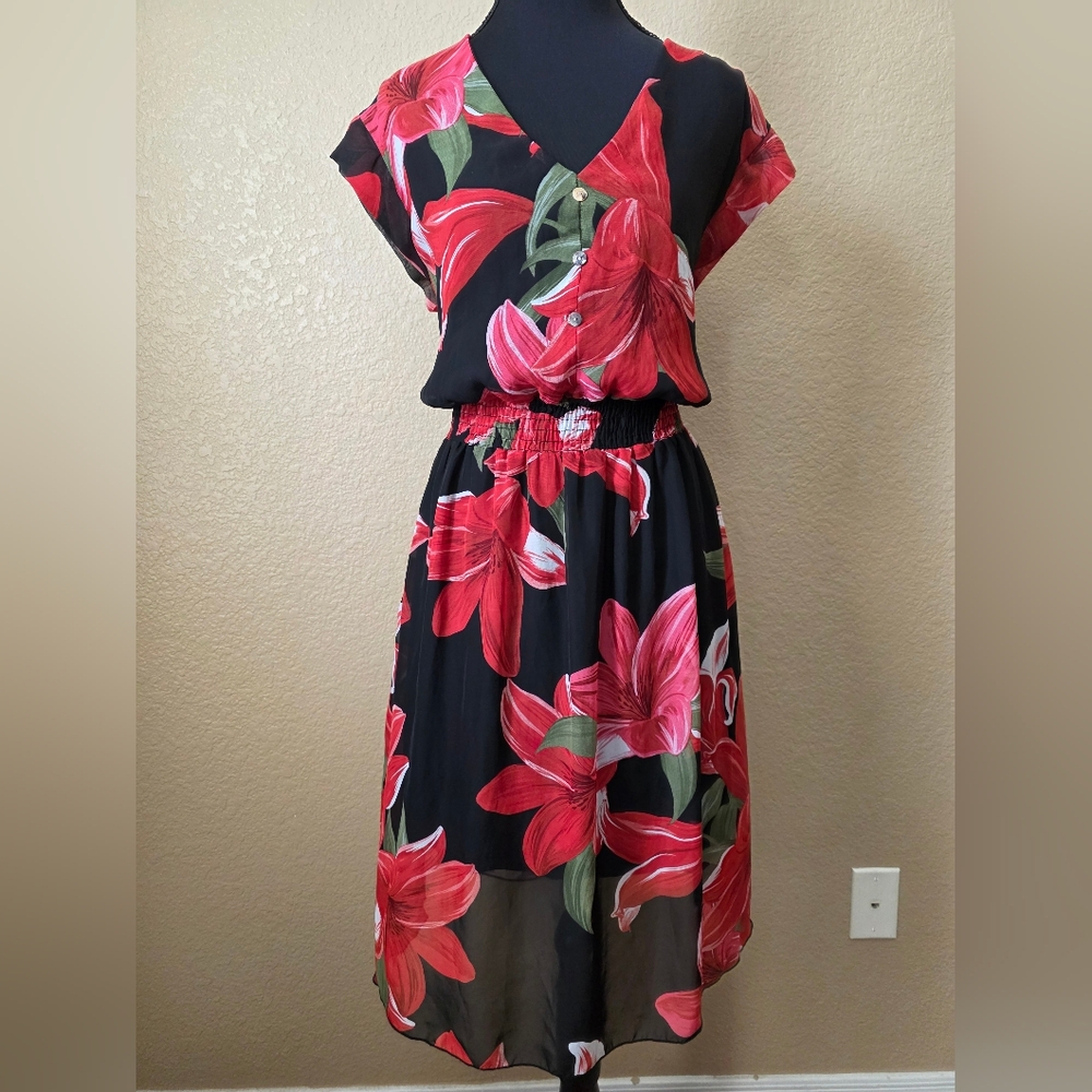 Kate‎ And Lilly Black With Red Floral Dress Sheer And Lined Work Appreal Sz 12